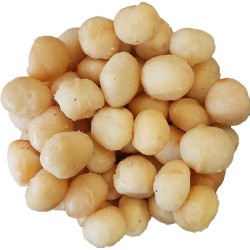 Macadamia 750 g Ongezouten | Noten Groothandel Horeca | Jan Gotjé Horeca | Macadamia noten