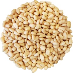 Pijnboompitten 900 g | Noten Groothandel Horeca | Premium Pijnboompitten | Noten | Jan Gotjé Horeca