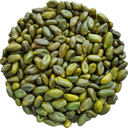 Pistaches gepeld DIEP groen rauwzak 500g