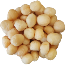 Premium Macadamia XL...