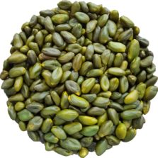 Pistaches gepeld DIEP groen...