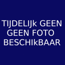 Rozijnen blauw klein 3 kg